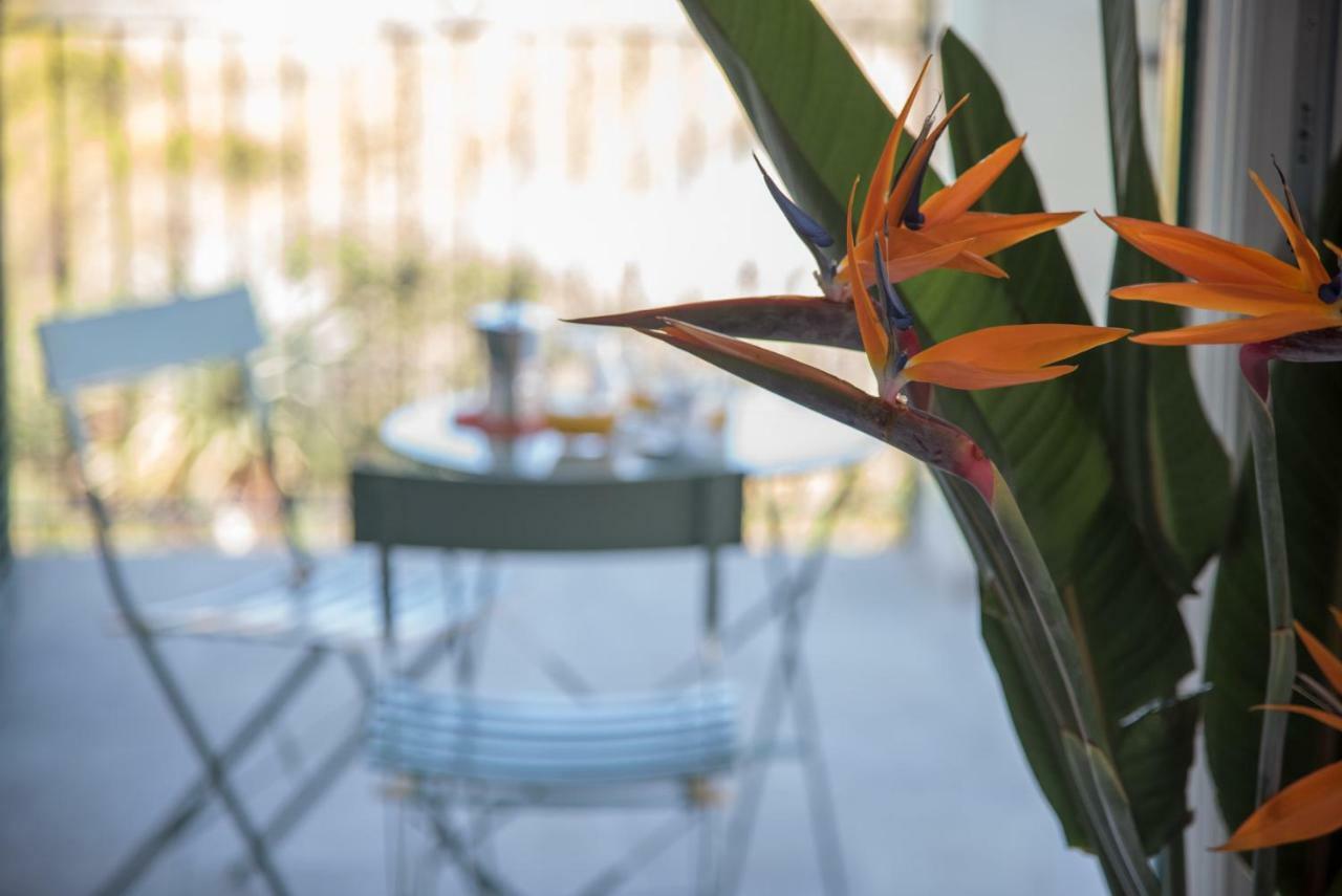 La Strelitzia Cervo Mare Lejlighed Eksteriør billede